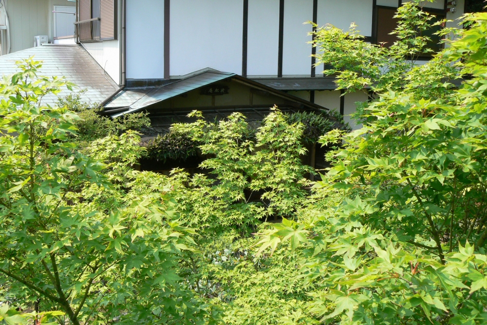撫松庵・磐石の庭