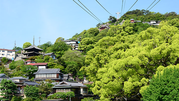 千光寺インスタグラムより